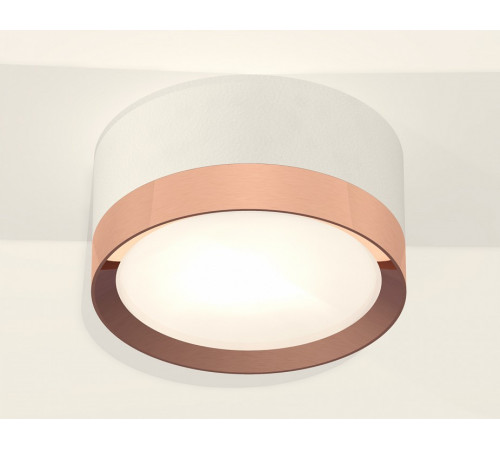 Потолочный светильник Ambrella Light Techno Spot XS8101006 (C8101, N8126)