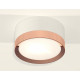 Потолочный светильник Ambrella Light Techno Spot XS8101006 (C8101, N8126)