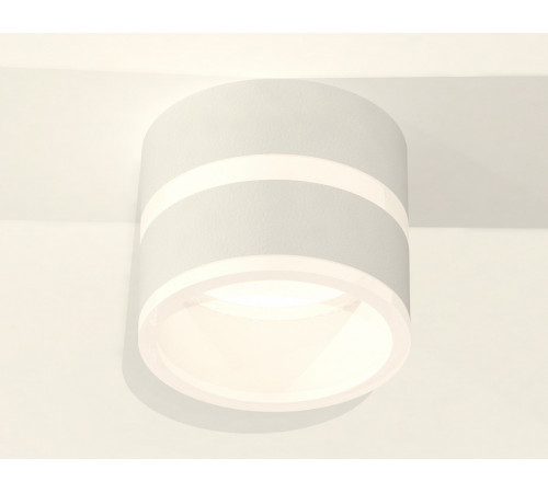 Потолочный светильник Ambrella Light Techno Spot XS8101019 (C8101, N8444) Потолочный светильник Ambrella Light Techno Spot XS8101019 (C8101, N8444)