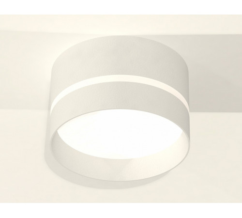 Потолочный светильник Ambrella Light Techno Spot XS8101020 (C8101, N8461) Потолочный светильник Ambrella Light Techno Spot XS8101020 (C8101, N8461)