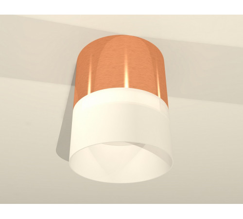 Потолочный светильник Ambrella Light Techno Spot XS8122011 (C8122, N8402)