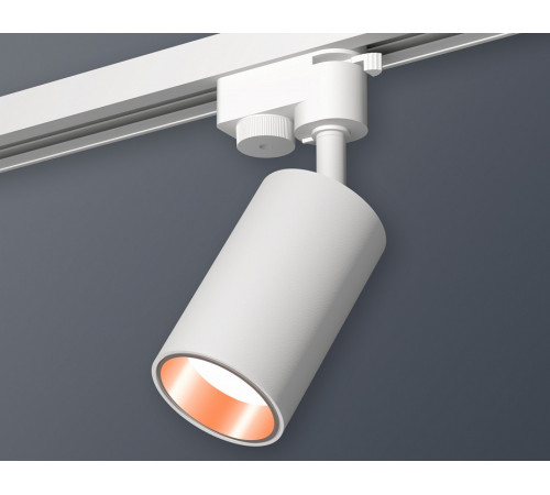 Трековый однофазный светильник Ambrella Light Track System XT6322024 (A2520, C6322, N6114)