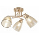 Потолочная люстра Arte Milano Amalfi 326419/3 FG+WH
