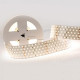 Светодиодная лента Arlight RT 2-2500 24V White6000 5x2 (2835, 875 LED, LUX) 019082(B)