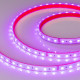 Светодиодная влагозащищенная лента Arlight 14,4W/m 60LED/m 5060SMD разноцветный 5M 021400(2)