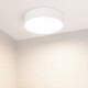 Накладной светильник Arlight SP-Rondo-R210-20W Day4000 022230(2)