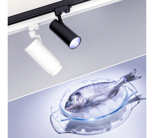 Трековый светодиодный светильник Arlight LGD-Zeus-4TR-R100-30W Cool SP7500-Fish 032453 Трековый светодиодный светильник Arlight LGD-Zeus-4TR-R100-30W Cool SP7500-Fish 032453