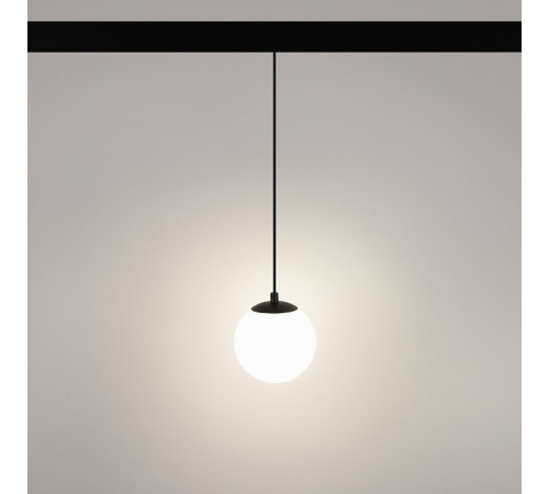 Трековый светильник Arlight Mag-Orient-Sfero-Hang-R150-10W Day4000 035759
