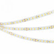 Светодиодная лента Arlight Ultra-C112-10mm 24V Day4000 (19.2 W/m, IP20, 5630, 5m) 036314