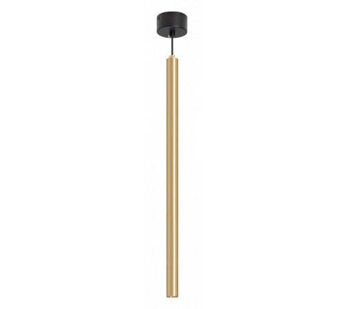 Подвесной светильник Arlight SP-PIPE-HANG-L600-R30-9W Warm3000 (GD, 24 deg, 230V) 038644
