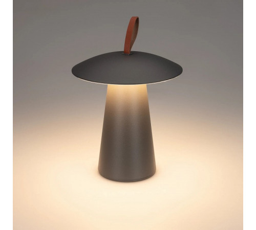 Уличная настольная лампа Arlight SP-PATIO-TAB-2W Warm3000 (BK, 127 deg) 043587 Уличная настольная лампа Arlight SP-PATIO-TAB-2W Warm3000 (BK, 127 deg) 043587