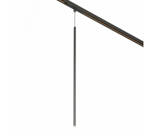 Трековый магнитный светильник Arlight MAG-ORIENT-SPOT-HANG-L600-R12-2W Warm3000 (BK, 20 deg, 48V) 044502