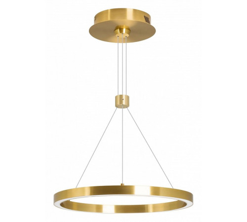 Подвесной светильник Arlight SP-CONGO-CAN-1-R400-24W Day4000 (GD, 120 deg, 230V) 046210 Подвесной светильник Arlight SP-CONGO-CAN-1-R400-24W Day4000 (GD, 120 deg, 230V) 046210