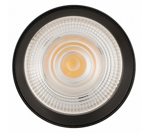 Накладной светильник Arlight SP-DICE-R77-10W Warm3000 (BK, 24 deg, 230V) 046626