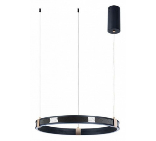 Подвесная люстра Arte Lamp Shine A2222SP-1BK