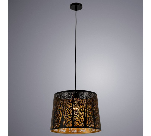Подвесной светильник ARTE Lamp A2769SP-1BK