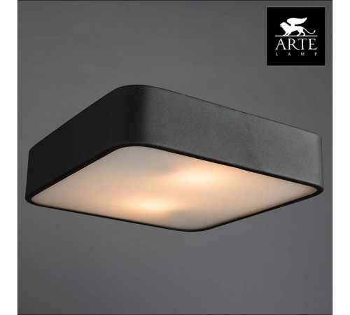 Потолочный светильник Arte Lamp Cosmopolitan A7210PL-2BK