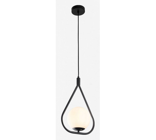 Подвесной светильник Arte Lamp Matisse A7764SP-1BK