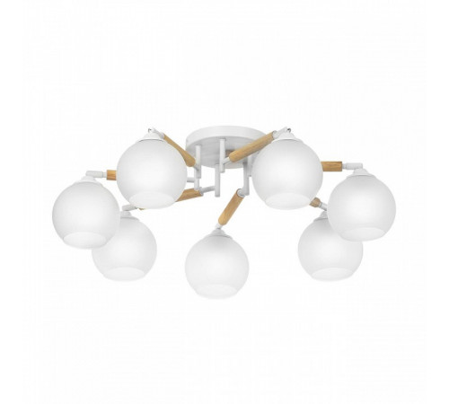 Потолочная люстра Citilux Tika CL133170