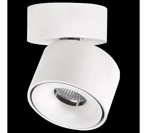 Спот Citilux CL558010N Спот Citilux CL558010N
