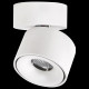 Спот Citilux CL558010N
