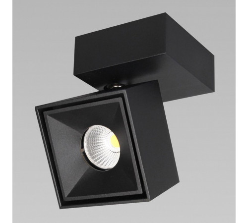 Спот Citilux CL558021N