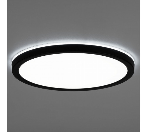 Потолочный светильник Citilux Basic Line CL738241EL