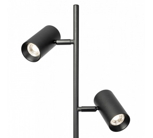 Торшер Citilux Twin CL809011N Торшер Citilux Twin CL809011N