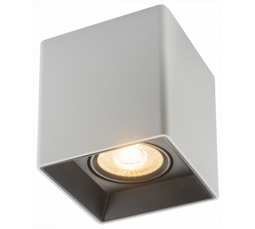 Накладной светильник Denkirs Dk3030 DK3030-WB Накладной светильник Denkirs Dk3030 DK3030-WB