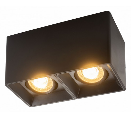 Накладной светильник Denkirs DK3030 DK3035-BK Накладной светильник Denkirs DK3030 DK3035-BK