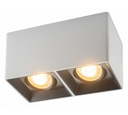Накладной светильник Denkirs DK3030 DK3035-WB Накладной светильник Denkirs DK3030 DK3035-WB