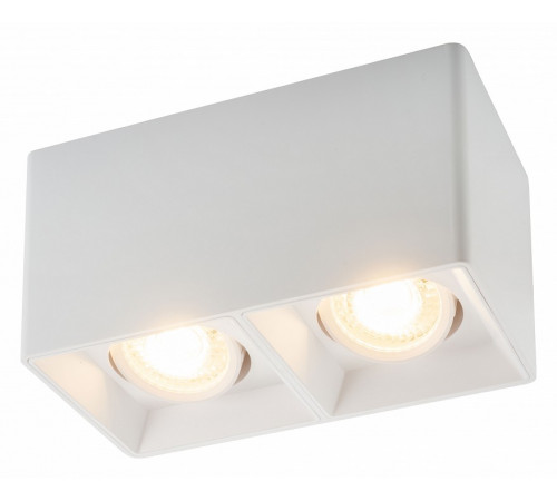 Накладной светильник Denkirs DK3030 DK3035-WH Накладной светильник Denkirs DK3030 DK3035-WH