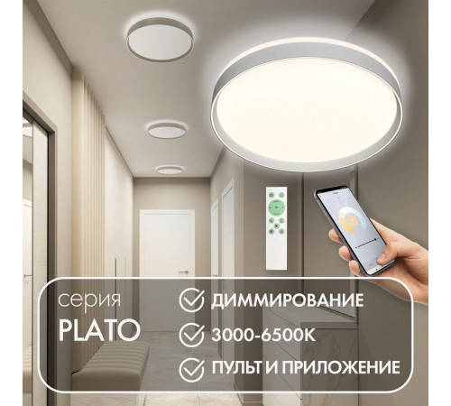 Потолочный светильник Denkirs Plato DK6511-WH Потолочный светильник Denkirs Plato DK6511-WH
