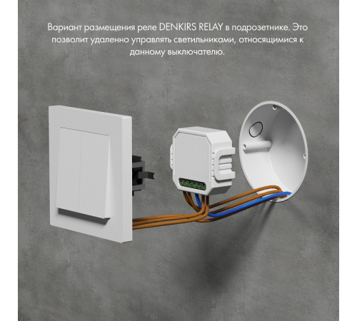 Двухканальное Wi-Fi реле-диммер Denkirs Relay RL1004-DM/1 Двухканальное Wi-Fi реле-диммер Denkirs Relay RL1004-DM/1