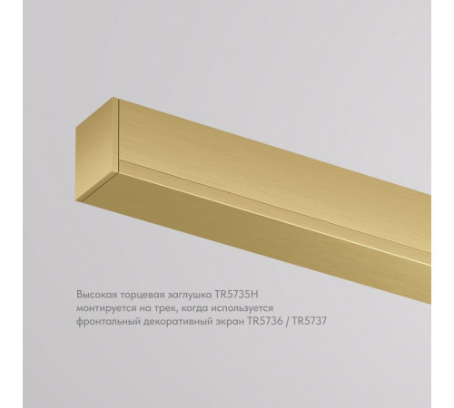 Торцевая заглушка Denkirs Shine Base TR5735H-SB Торцевая заглушка Denkirs Shine Base TR5735H-SB