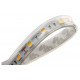 Светодиодная лента DesignLed DSG560-12-NW-65 001488