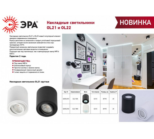 Накладной светильник Эра OL22 WH Б0054394 Накладной светильник Эра OL22 WH Б0054394