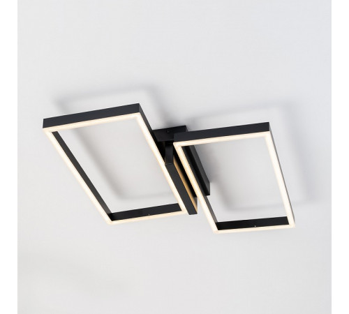 Потолочный светильник Escada Scales 10209/2LED Black