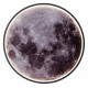 Настенно-потолочный светильник Escada Planet 10226/SG LED Mars