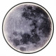Настенно-потолочный светильник Escada Planet 10226/SG LED Moon