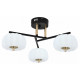 Потолочная люстра Escada Halma 10301/3LED