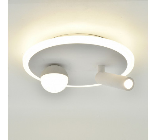 Потолочный светильник Escada 20022SMA/01LED SWH
