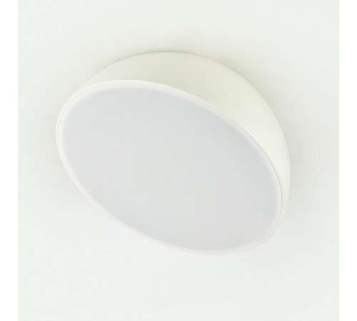 Потолочный светильник Escada 20025SMA/01LED WH