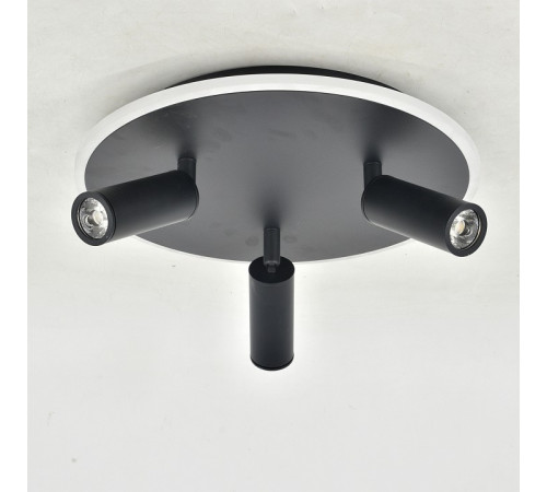 Потолочный светильник Escada 20046SMA/03LED BK