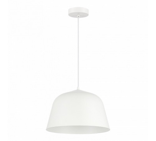 Подвесной светильник Evoluce Blank SLE1805-503-01