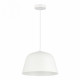 Подвесной светильник Evoluce Blank SLE1805-503-01