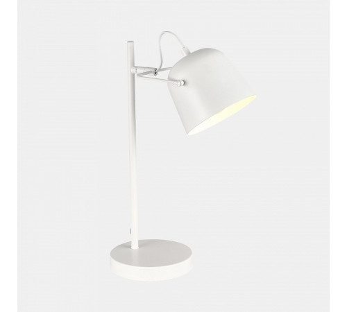 Настольная лампа Evoluce Blank SLE1805-504-01 Настольная лампа Evoluce Blank SLE1805-504-01