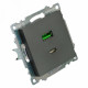 Розетка 2-местная USB + type C Stekker Катрин GLS10-7116-06 50052