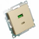 Розетка 2-местная USB + type C Stekker Катрин GLS10-7116-08 50053