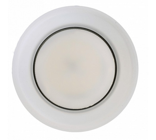 Потолочный светильник Feron Opal HL460 51683